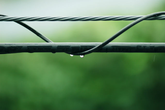 梅雨の日の雨