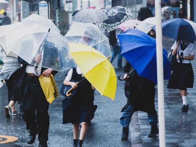 台風で傘をさすのが精いっぱいの様子