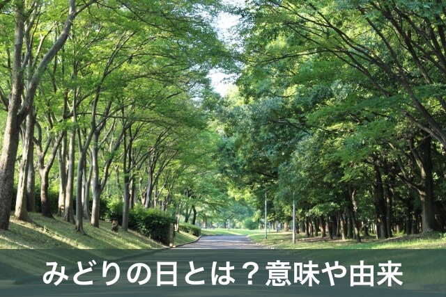 「みどりの日」新緑の5月を感じる散歩道