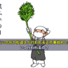 煤払いの日や松迎えが行われる正月事始めとは？いつ行われるの？