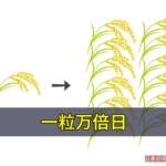 一粒万倍日