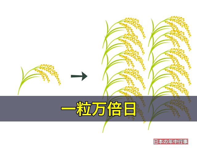 一粒万倍日