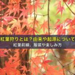 紅葉狩りとは？由来や起源について。紅葉前線、服装や楽しみ方