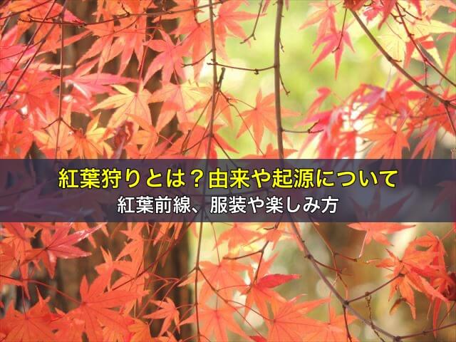 紅葉狩りとは?由来や起源について。紅葉前線、服装や楽しみ方